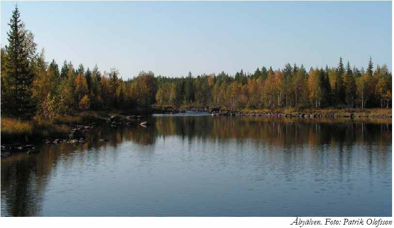 Åby, Byske och