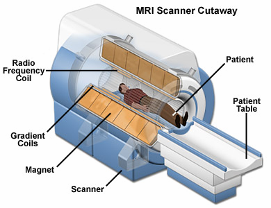fmri (functional magnetic resonance imaging) The signal is dependent on protons/water (MRI) or BOLD =