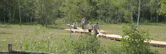 Picknick i Hopamarken Måndag 28 maj 18.00 Samling vid Hopamarken mellan Snösbäck och Uddagården.