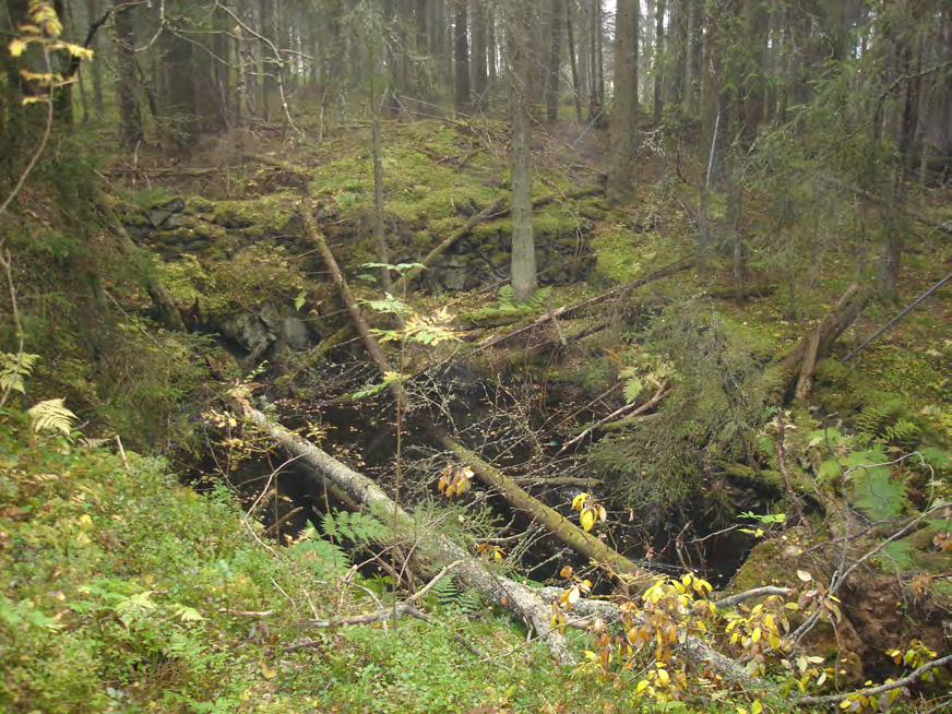 BILAGA 3: SKÖTSELPLAN 2(7) 1.2 Historisk och nuvarande markanvändning Skogsmark För att ingå i ett naturreservat kan man säga att skogen är ovanligt starkt påverkad av tidigare markanvändning.