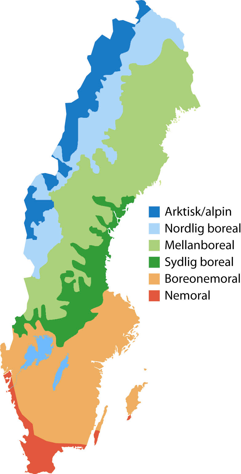 Naturgeografisk region Shannons diversitets index Mellanboreal 2,34 Sydlig boreal 2,11 Boreonemoral 1,97 Figuren till höger visar Naturgeografiska regioner för beräkning av jämförvärden (Nordiska