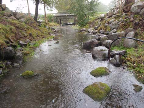 Lokalbeskrivning med foto Bilaga 1 Lokalen i Tommarspån är belägen sydväst om Järrestad uppströms Gisslingabro, har tidigare undersökts 1996, 1999, 2000, 2001, 2002, 2003, 2006, 2007, 2008, 2009.