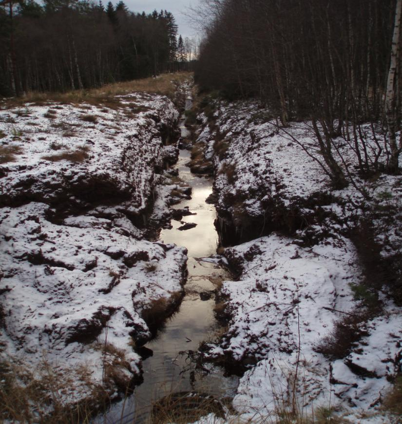 Åtgärd: En diskussion med Bäckefors Gräv AB bör inledas angående möjligheterna att skapa utjämnings- och sedimentationsmagasin i utloppen från sin verksamhet.