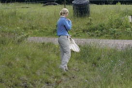 Sven G. Nilsson & Markus Franzén Ent. Tidskr. 127 (2006) Figur 5. En blomrik vägren vid Berghem och en hästbetad hagmark i bakgrunden. Foto: Markus Franzén.