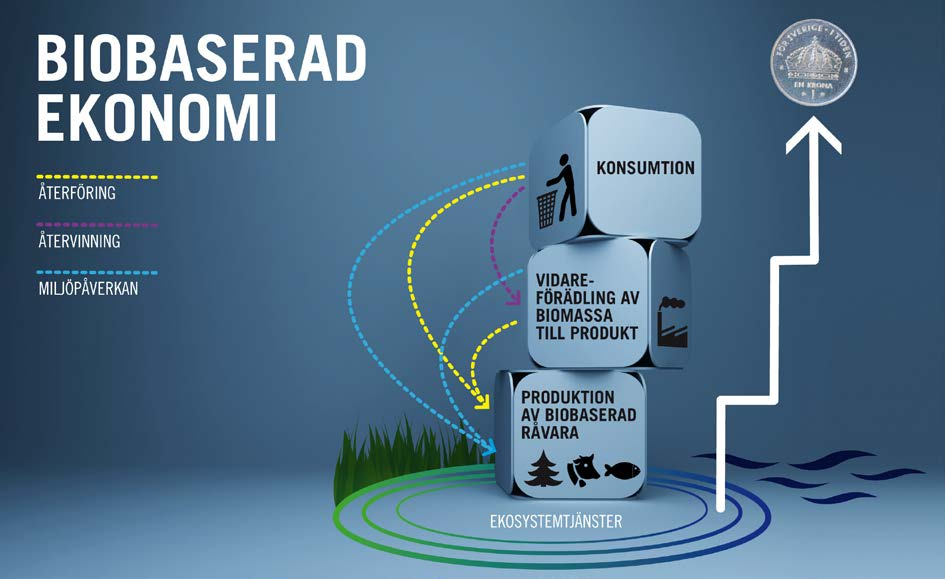 Forsknings- och innovationsstrategi för en biobaserad samhällsekonomi I 14 Figur 1. Förädlingssteg med forsknings-, utvecklings- och innovationsfrämjande insatser.