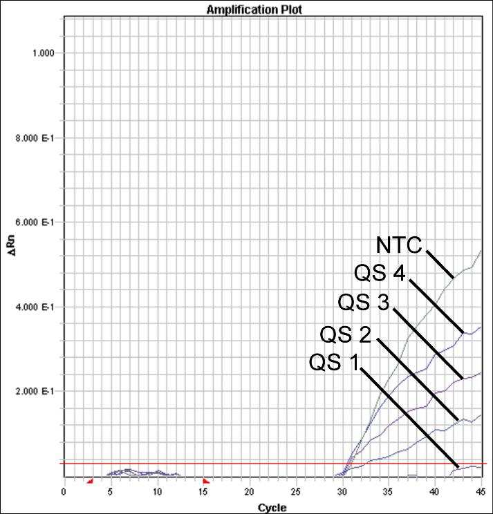 Fig. 27: Detektion av Kvantifieringsstandarderna (M. tuberculosis RG/TM QS 1-4) genom detektion av en FAMfluorescenssignal (ABI PRISM 7900HT SDS). NTC: nontemplate control (negativ kontroll). Fig.
