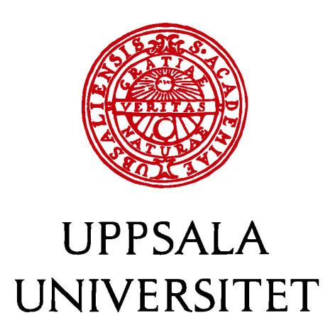 Uppsala Universitet Företagsekonomiska institutionen Magisteruppsats, 15 hp HT-13 Revisionens värde - Vilka värden