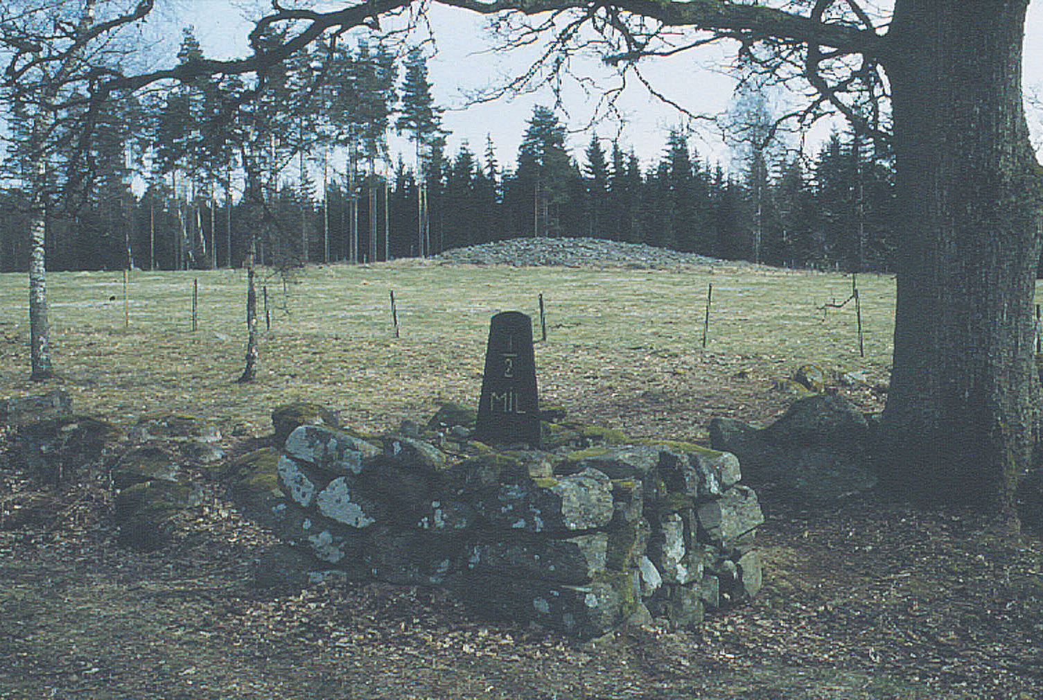 Figur 11. Milstolpe och röse i Väckelsångs socken. Foto Anna Ulfhielm, Smålands museum.