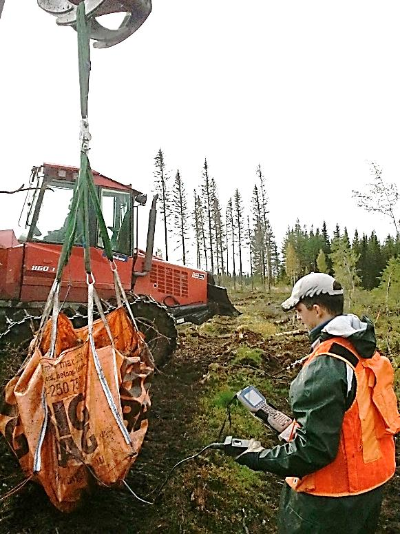 proytorna räknades och klavades. De stubbar som var mindre än 15 cm i stubbdiameter klavades inte, utan räknades endast.