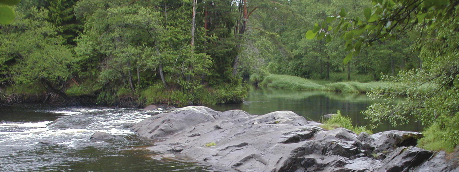 MEDDELANDE NR 2006:32