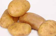 5762 9 90 POTATIS FAST, KL II Sverige, 5 kg Everfresh Art. nr.