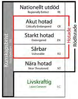 Uppdragsnr: 10195058 Daterad: 2015-08-13 Reviderad: Handläggare: Naturvärdesinventering Ekhyddan Status: Utkast Figur 2. Rödlistans kategorier Rödlistan, 2015.