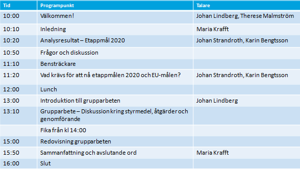 Förmiddagen ägnades främst åt presentation av de analysresultat som analysgruppen, under ledning av Johan Strandroth, tagit fram under hösten.