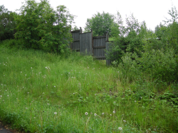 Den södra grässlänten med buskage mot Sandviksvägen/Parkvägen sparas i sin helhet. För dessa gräsytor ändras användningsområde till allmän plats, naturområde.