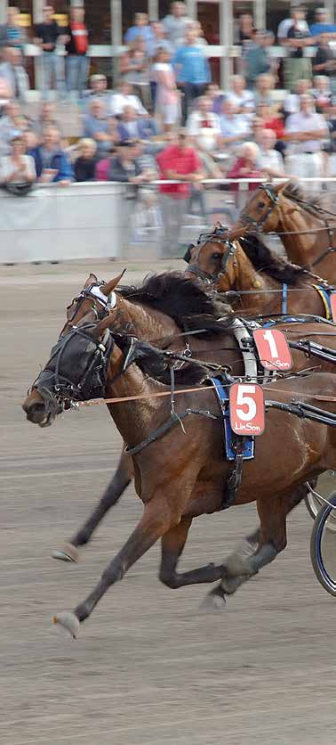HalmstadTravet Lördag mars Första start kl 0.00 banprogram Pris 0 kr (inkl.