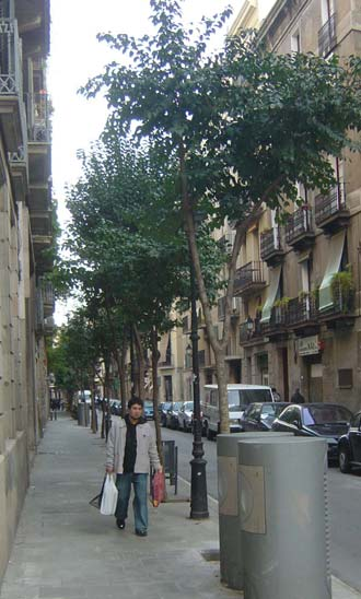 BARCELONA Barcelona arrangör av 1992 års olympiska spel. havet och att skapa ett fungerande trafiksystem med en ringled som främsta ingrediens.