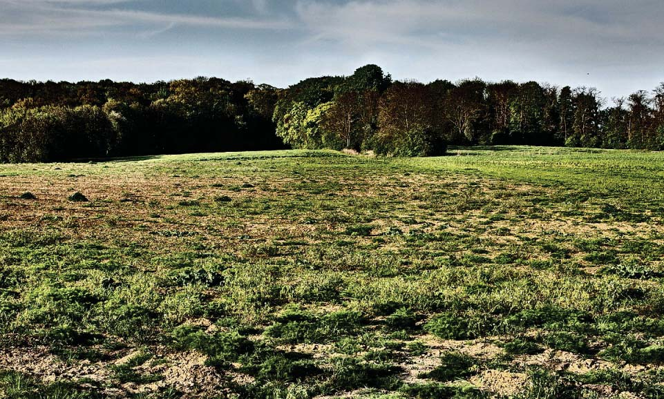 SJÖLANDA ÖVERBY RINGVÄGEN ALINGSÅKER MARIA ALBERTS PARK INSIKTEN STOREGÅRDSPARKEN UPPHÄRAD LEKPLATS KRONOGÅRDEN (GAMLA SKOLOMRÅDET) BRYGGAN STRANDGATAN BOULEBANOR OMBYGGNAD LEKPLATSER