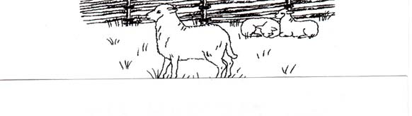 Denna annons 1 gång/månad