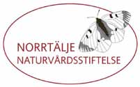 BUSHRESAN i Norrtälje kommun Måndag 26 september 2016 Vi befinner oss just nu i ett kritiskt skede.