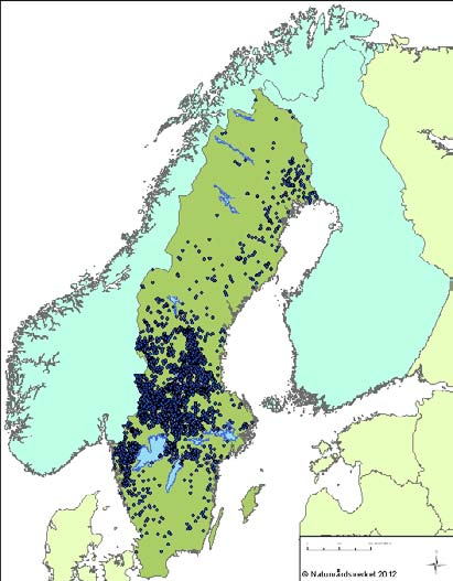 Figur 12: Kvalitetssäkrade observationer av varg i Sverige under de fem senaste investerings-perioderna. Källa: Naturvårdsverket (2012): Nationell förvaltningsplan för varg 2012-2017.