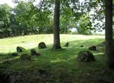 Hemsjö och Ödenäs Framnäs, Högen och Vässenbo (8) Beskrivning av kulturmiljön Fornlämningsmiljön består av domarring, resta stenar, stensättningar, fyndplats, stenåldersboplats och hålväg.