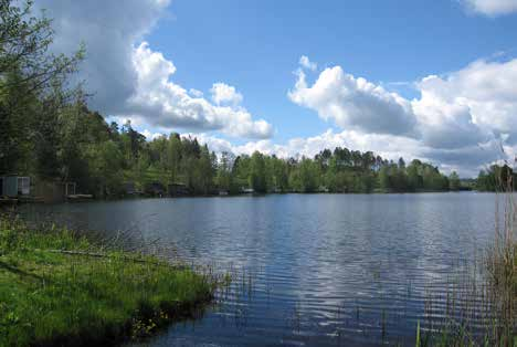Hemsjö