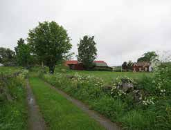 Byväg i Loo.