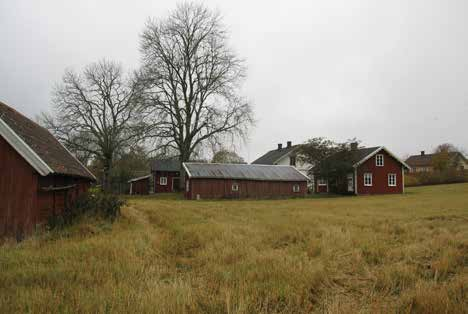 Bjärke
