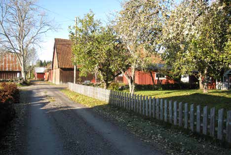 Bjärke