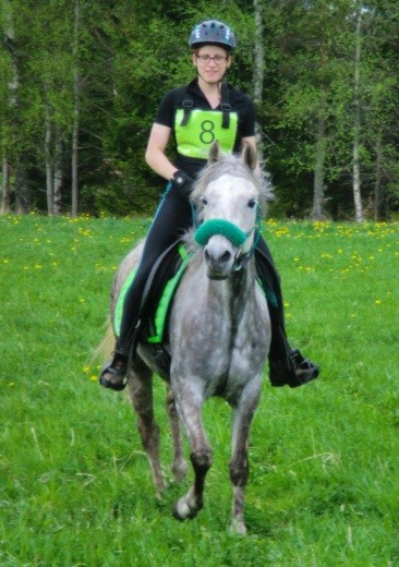 Gomir (SE) Gazijah Gancia (SE) Gokart(PL) Mirza (SE) Samurai(SE) Sharante (GB) Sto, Arabiskt Fullblod, fo dd 2007 Uppfo dare: Ingela Brinkefeldt, ArabHa sthagen Tfn. 070-359 22 86, e-post: gomir.