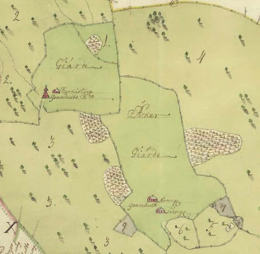 Fig. 6. Utsnitt av kartan över storskiftet av Granhults in och utägor från 1773. Utsnittet visar inmarken och området därintill. Observera de täta skogsplanteringarna! Skala 1:10 000.