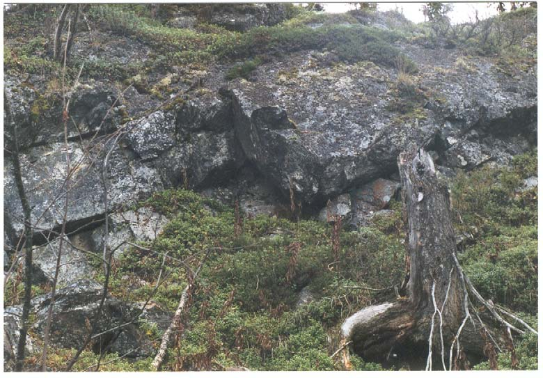 10 Följande mineraljägare erhåller bokpris och diplom för fynd av: Ethel Landström, Överkalix ådergnejs (nyttosten) Anna-lis Ingridsson, Tommy Nordin, Igny Solheim och Johan Lysell, Lannavaara