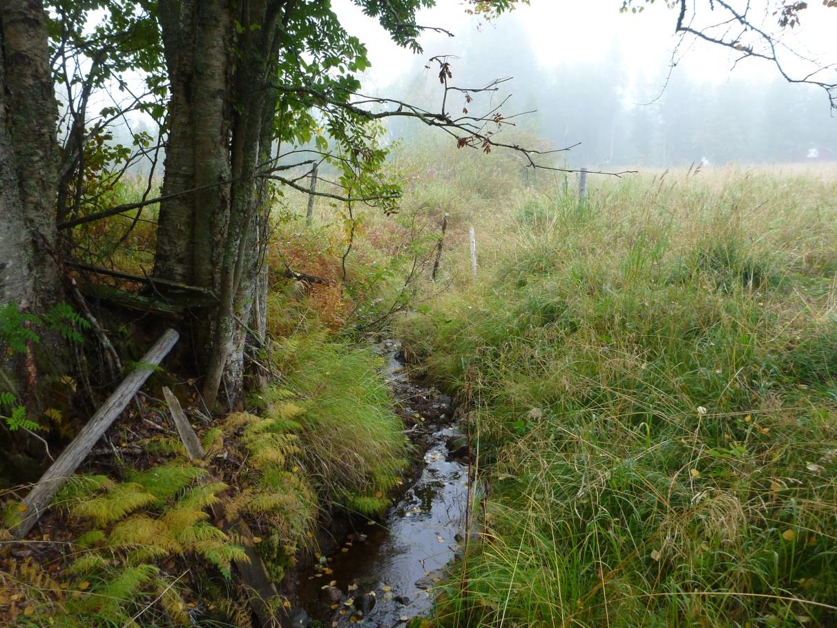 Bäcken uppströms karteringspunkten, erosion av