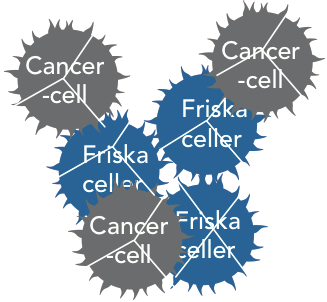 BI 505 kan förhindra eller