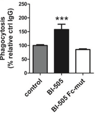 dependent Induces bone marrow