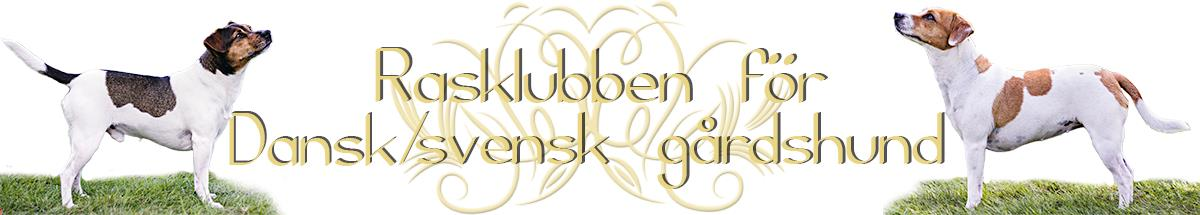 Championat & Titlar 2015 JWW-15 EST JCH Gartnervejens Pinje Af Tulle SE54580/2014 blev NJV-15 i Stockholm 13.12.2015 för domare Jahn Stääv, Sverige. Uppf. Jenni Kochen, Danmark.
