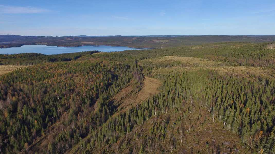 Vy från Romohöjden upp mot Helgesjön.