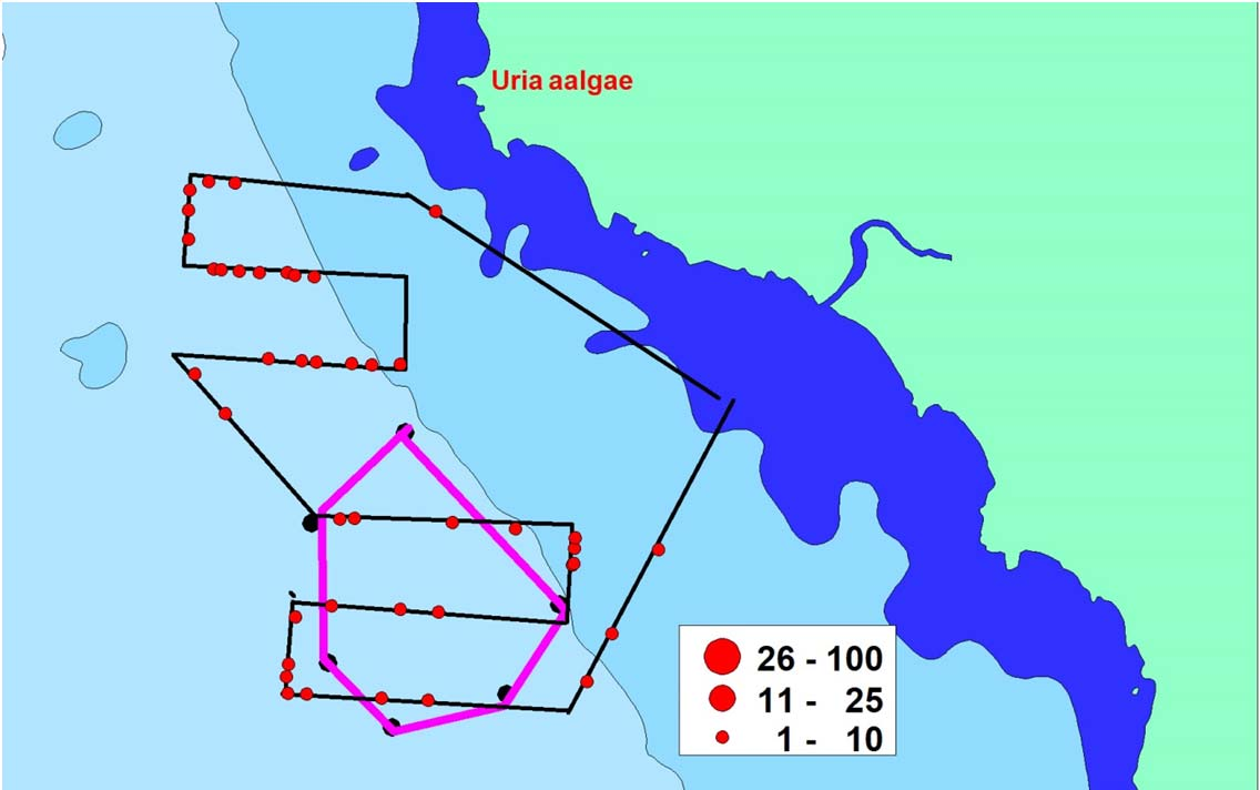 Fig. 10 Antalet observerade tordmular vid fyra båtinventeringar i området för den planerade