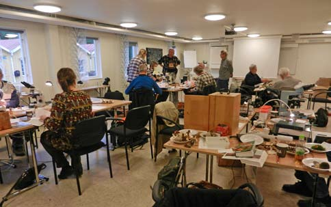 Svampar i Ringsjötrakten Rapport från Puggehattens inventeringshelg 21-23 september 2012 Tony Svensson För den 15:e inventeringshelgen i Puggehattens regi hade vi denna gång inkvarterat oss på