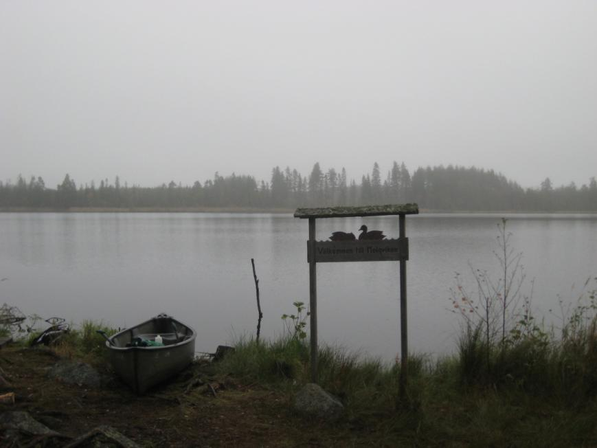 sulfatjordar. Enligt vissa inventeringar skulle Molnviken vara mycket grund med ett vattendjup på ca 1 meter.