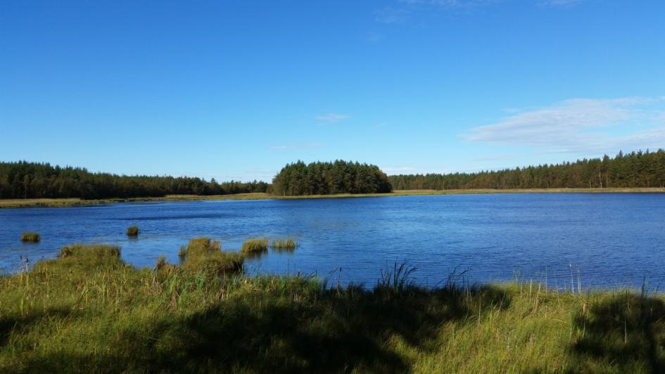 används vid andjakt. Sjön har antagligen betydelse för jaktområde för traktens många jägare. Det finns även många knipholkar runt sjön. 5.2 Fågelbestånd. Bild 11.