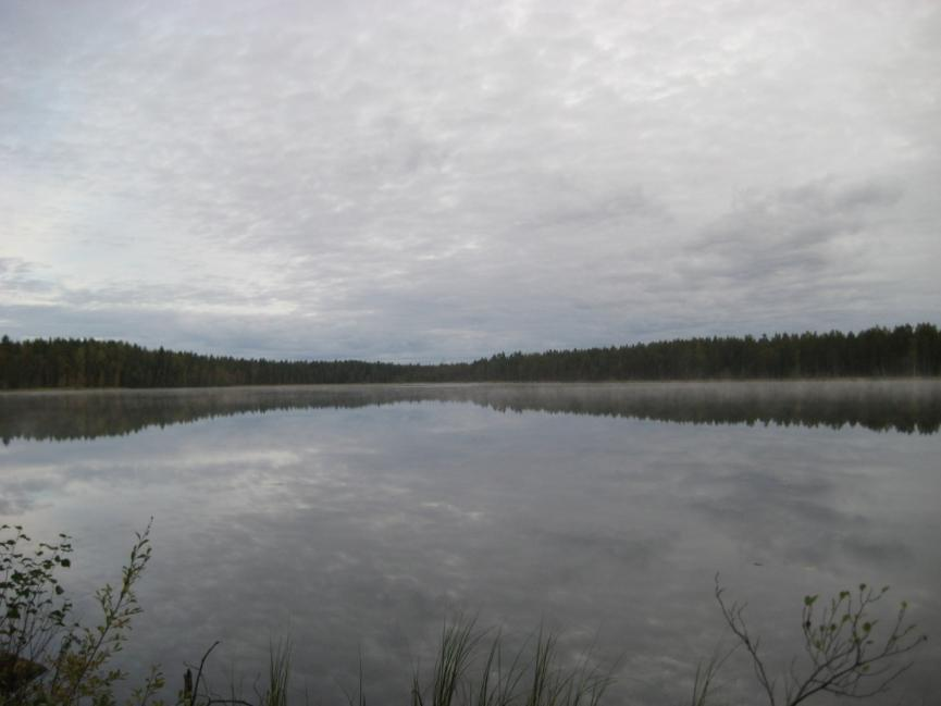 I själva sjön finns väldigt sparsamt med vegetation, mest lite gul näckros (Nuphar pumila).