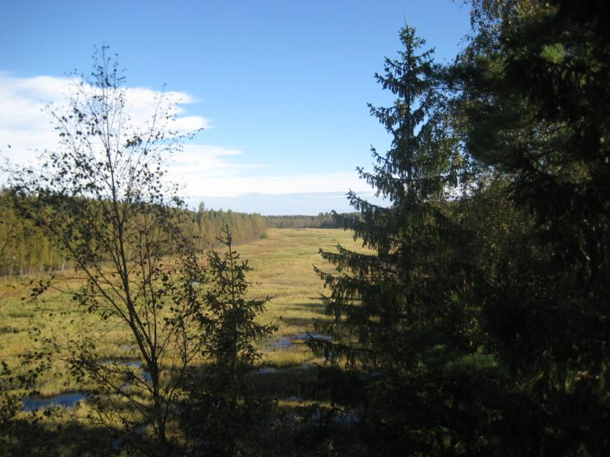 Bild 3. Pirkärr sedd från det höga fågeltornet i sjöns sydvästra ända. I våtmarkens nordöstra del finns en körväg som delar av våtmarken i två delar och norr om denna väg finns ett trädbevuxet kärr.
