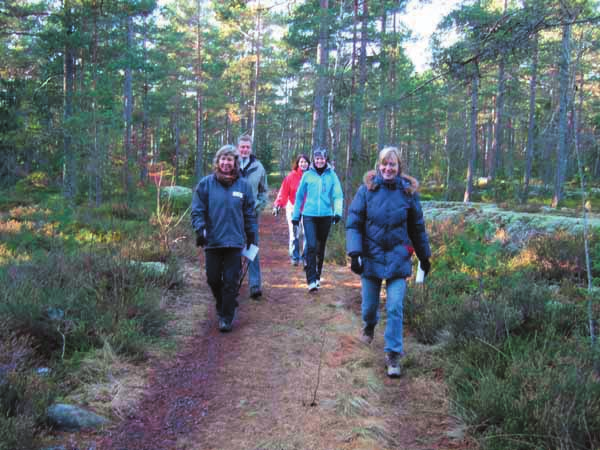 NUMMER 3 2012 SIDAN 9 TIPSPROMENADERNA Startar i höst igen. För vilken gång i ordningen kan jag inte riktigt räkna ut och vet ej heller om det finns någon statistik på detta.