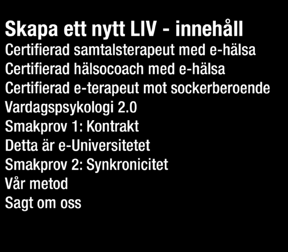 e-universitetet Smakprov 2: Synkronicitet