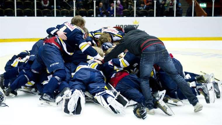Vi ledare vill tacka alla duktiga och underbara spelare som vi fått möjligheten att jobba med under TV Pucktiden.