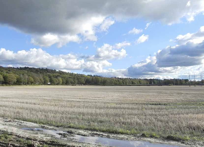 UV RAPPORT 13:7 ARKEOLOGISK UTREDNING Äldsta stenålder och äldre järnålder vid Duvehed
