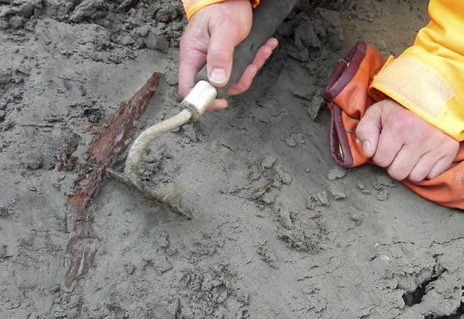 Figur 9. I sanden under den postglaciala leran låg träbitar, både brända och obrända. Foto: Gisela Ängeby.