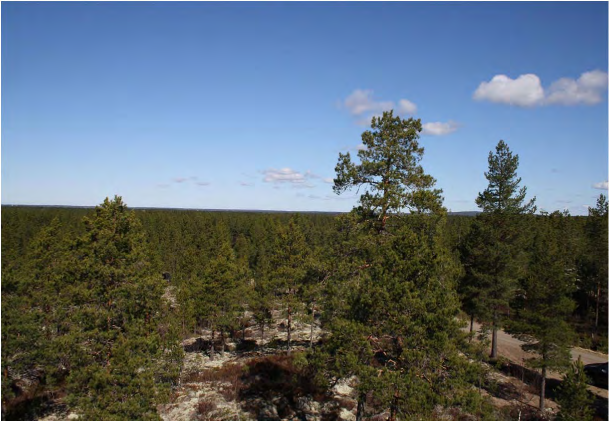 IV Lappfjärds och Lakiakangas vindkraftsparker CPC Finland Ab Behovsprövning för Natura-bedömning: Ville Suorsa, Jari Kärkkäinen, Tiina Mäkelä, Utredning av fornlämningar: Kalle Luoto,