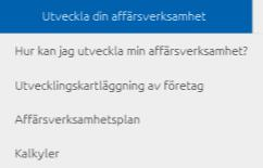 Sök information 4) Utveckla din affärsverksamhet 5) Internationalisering